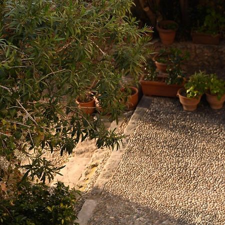 Casa Artia Vila Chania  Exterior foto